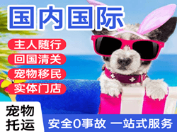 贡嘎机场空运国际宠物托运 【国